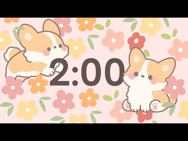 🌸🧡 cute corgi 2 minute countdown timer 🧡🌸 calm ambient music for classrooms and studying