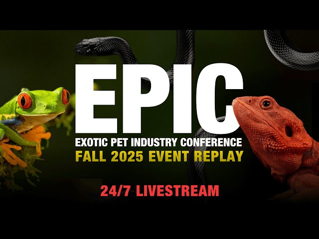 24/7 Reptile Content | EPIC Conference Replay | Fall 2025