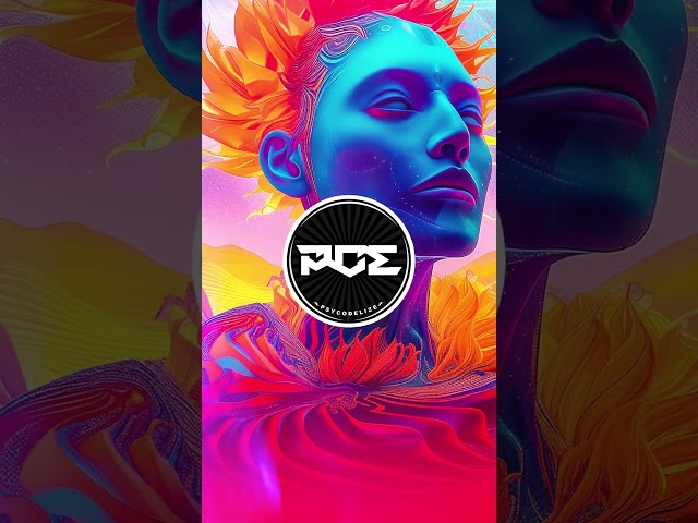 Undercover - Chapati (Psytrance Remix)
