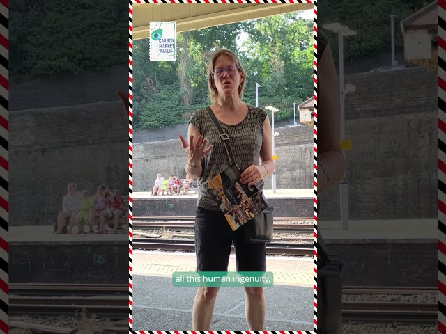 Sabine's summer postcard