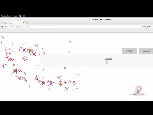 eLearnSecurity - learn SQL injection
