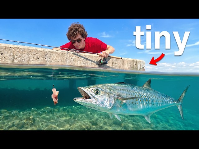 I Tested if Tiny Piers Have Giant Fish!