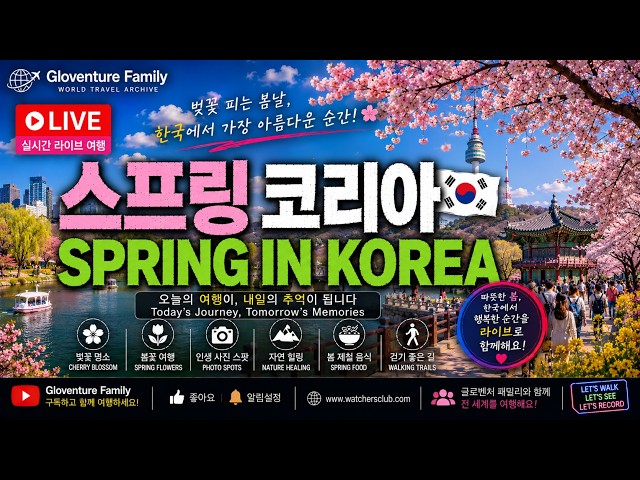 🌸 스프링 코리아 LIVE | Spring in Korea LIVE | 대한민국의 가장 아름다운 봄을 함께 여행하세요