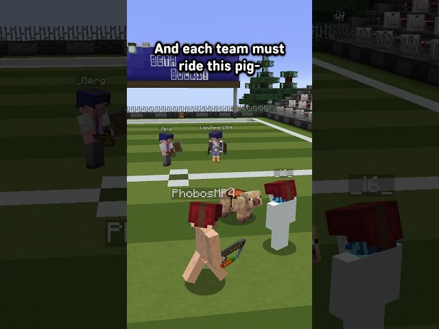 I Invented ANOTHER Minecraft Minigame | Pigskin