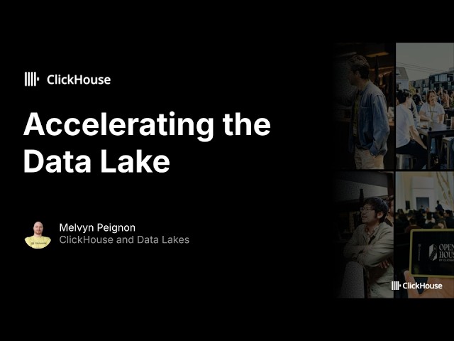 Accelerating the Data Lake