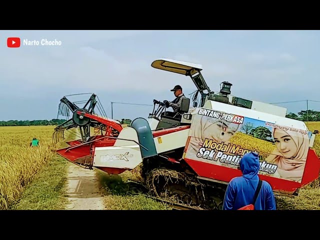 Kombi Maxxi Bimo Xtreme 2.0 - Bintang Perkasa Group di Sribit Sidoharjo Sragen " By Mas Toyo