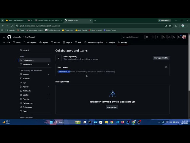 Github repository & Branch creation.