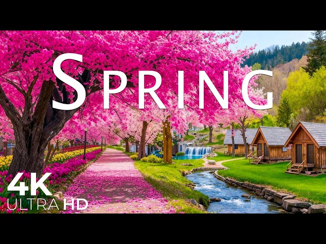April 2026 Spring Flowers 4K UHD 🌸 Floral Wonderland, Blooming Gardens & Soft Sunrise Light