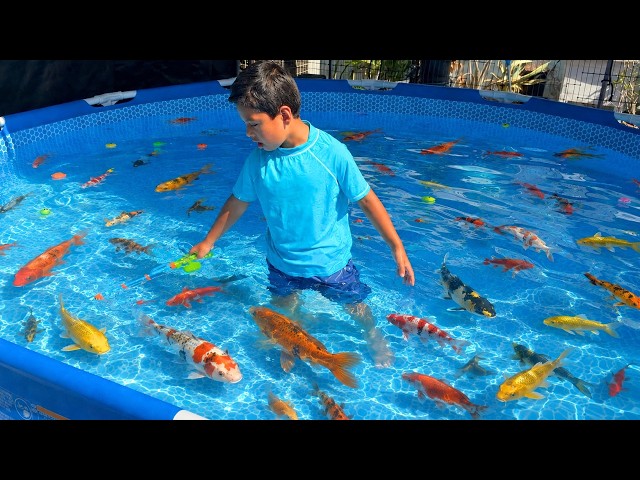 Fishing IN MY POOL! Catching colorful fish