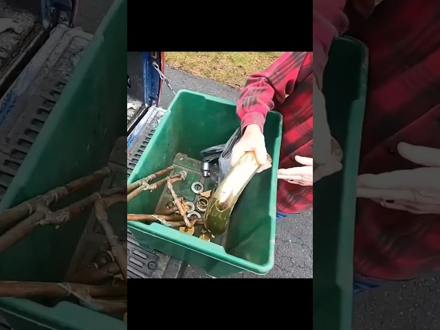 You Want This Copper and Brass? #scrapper #trashpicking