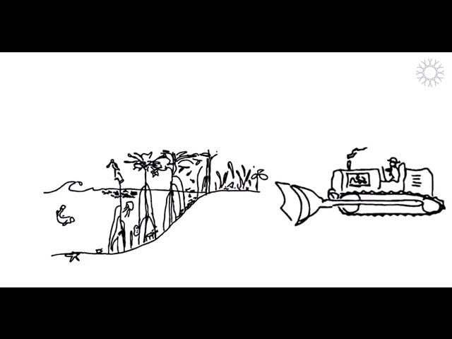 Ecosystem services
