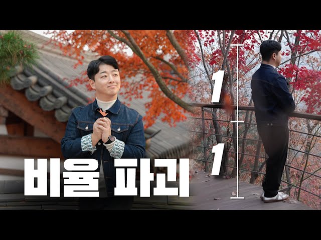 단점 커버 인증샷 꿀팁 5가지 (인생사진, 가을 여행 화담숲, 인생샷 촬영 팁)