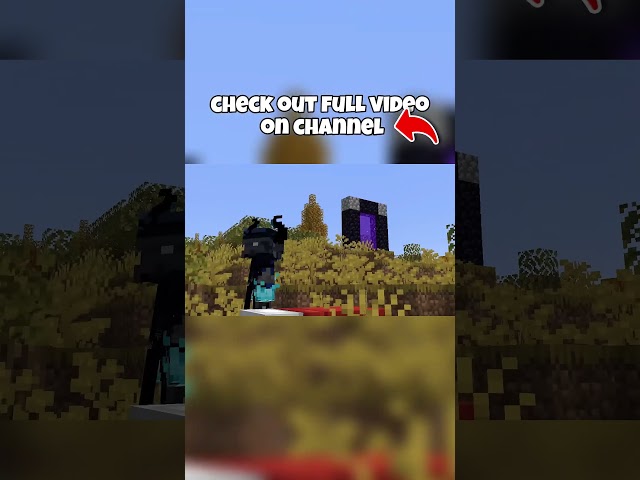 We Got The Strongest Armor On This SMP #minecraft #lifstealsmp #smp #shortsfeed #shorts