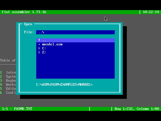 How to use fasm in DOS