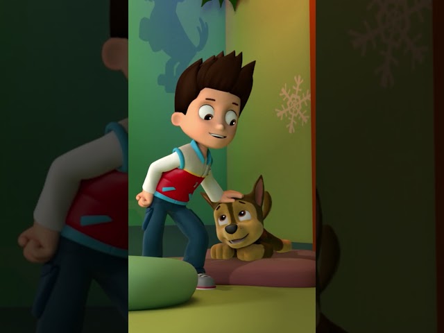 The squad is getting ready for Santa 🎅🏻 #holidayseason #PAWPatrolShorts