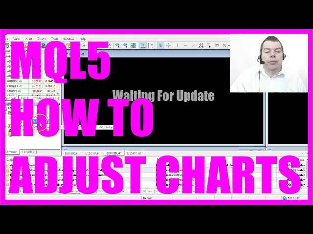 MQL5 Automated Trading Tutorial - 5 How to adjust MQL5 Charts
