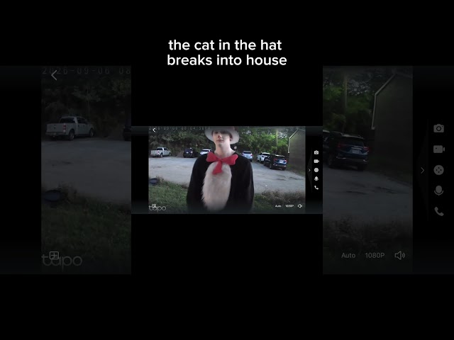 the cat in the hat breaks into house