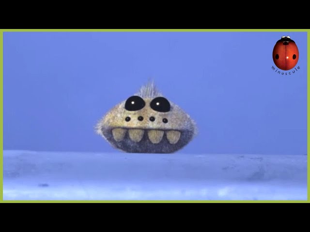 Refrigerated | Minuscule 🍃 40' Compilation