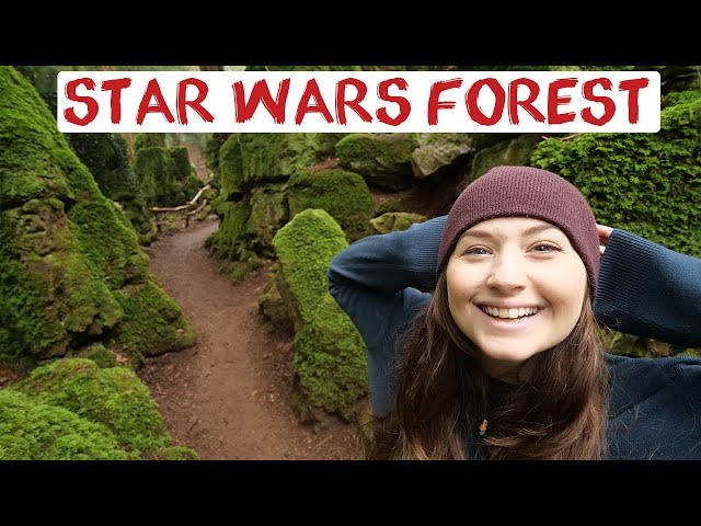 Star Wars Forest | Puzzlewood Forest Of Dean | England Road Trip Travel Vlog Video 17