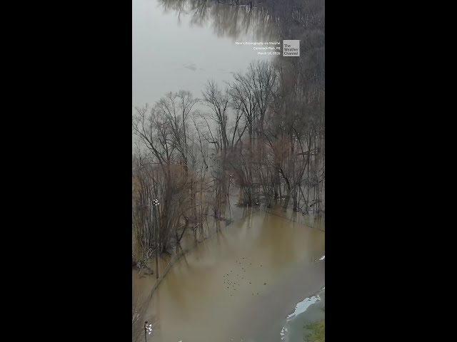 Flood Fears Surge As Michigan Rivers Rise