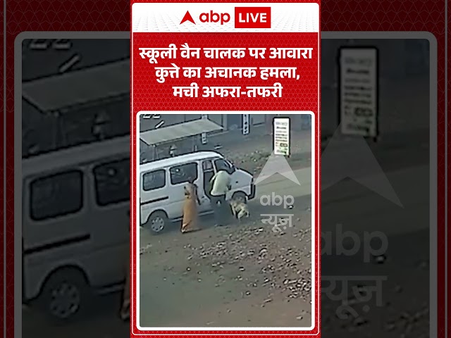 Viral Video : स्कूली वैन चालक पर आवारा कुत्ते का अचानक हमला, मची अफरा तफरी  #ytshorts #dogattack