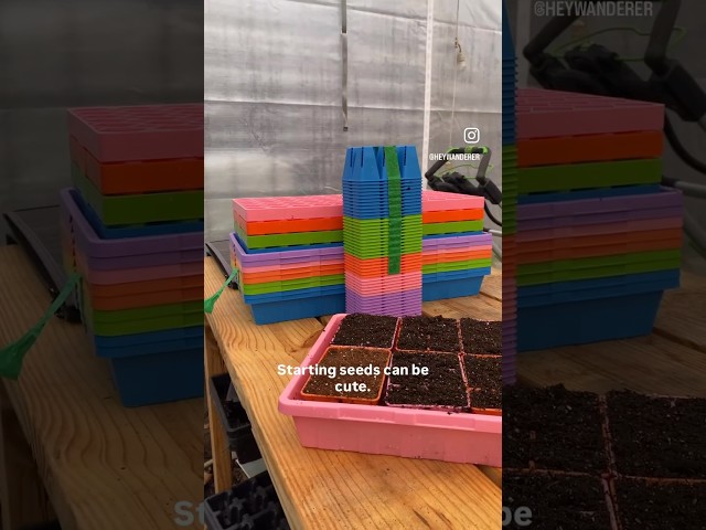 Seriously STURDY seed starting trays