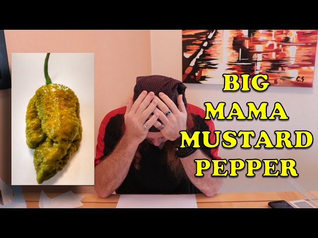 Big Mama Mustard Chili Pepper Pod Review