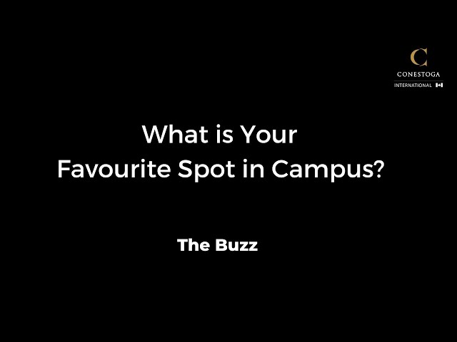 What is your Favourite Spot in campus?