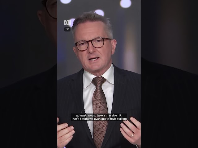 One Nation's immigration maths isn't mathing for Chris Bowen | 7.30