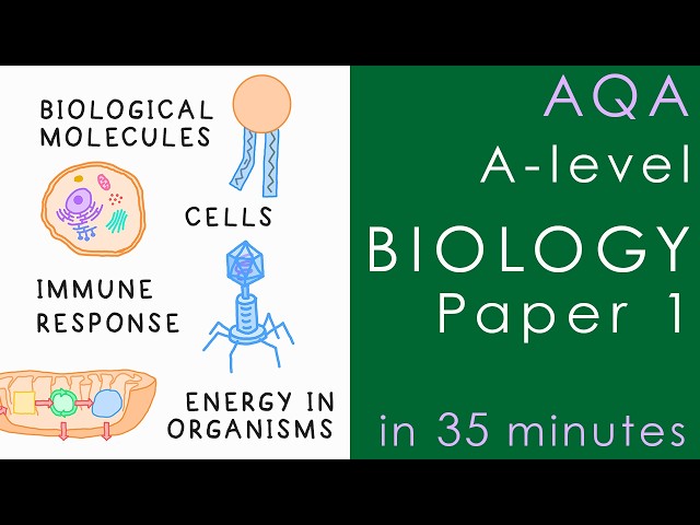 All of AQA BIOLOGY Paper 1 in 35 mins - A-level Biology