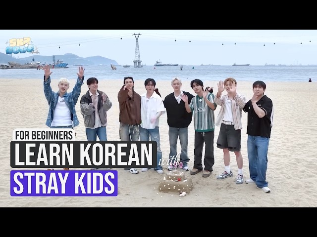 Learn Basic Korean with STRAY KIDS | Beginner Speaking Practice | SKZ CODE