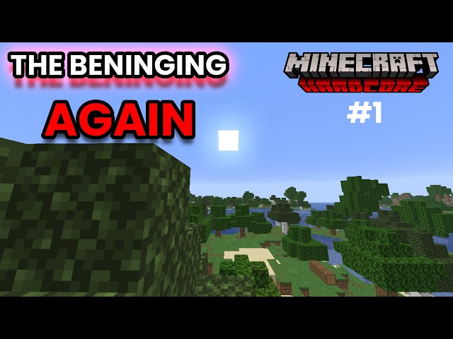The Beninging of Hardcore Minecraft #1 AGAIN | VixenLIVE