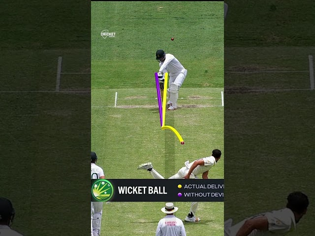 Starc unleashes stunner to claim Test 300th 🔥🔥🔥🔥