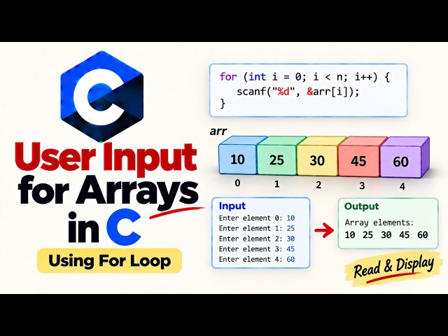 User Input for Arrays in C Using For Loop | Read & Display Array Elements
