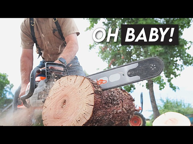 I Should've Upgraded These Chainsaws a Long Time Ago