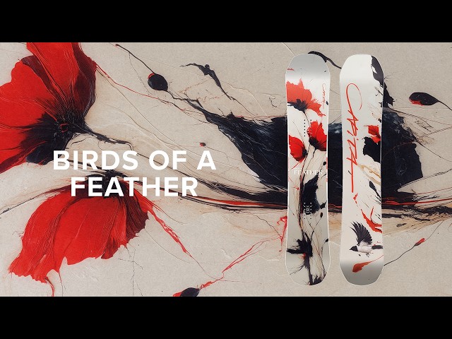 CAPiTA SNOWBOARDS | 2027 Birds of a Feather