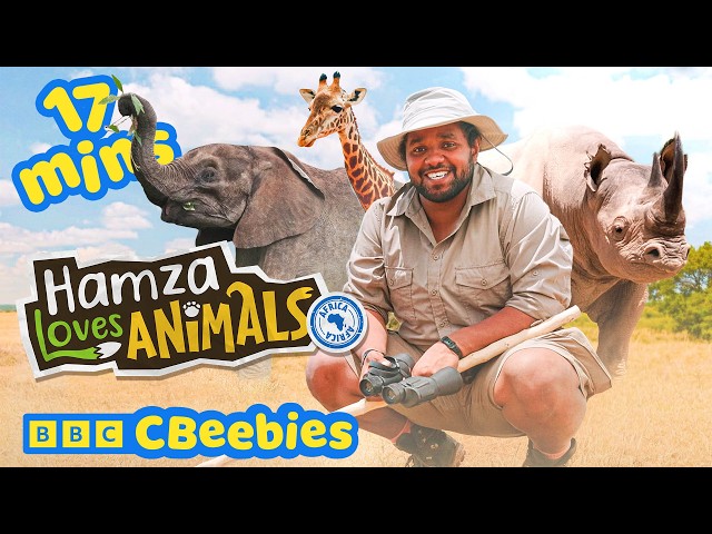 Amazing Animal Facts - Elephants, Zebras and More! | Meet Hamza's Baby Animal Friends | CBeebies 🐘🦓