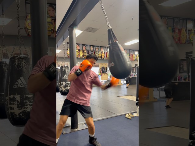 Fight 2 Finish Elite Boxing Gloves | Maize Bag