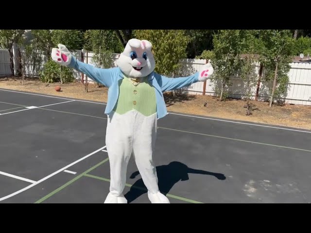Funny Bunny Series: Nasri & Bunny