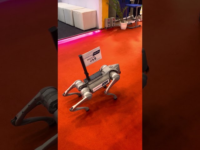 Robotics bot dog 🐕 yashobhoomi convention center #robotics #Robot #explore #industrialautomation