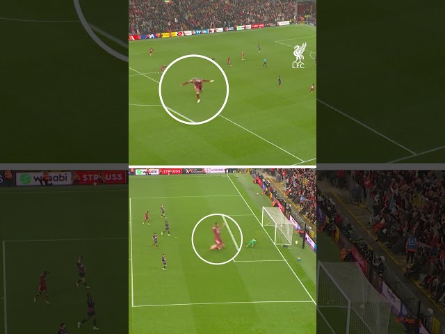 Araujo & Gakpo's celebrations 😆