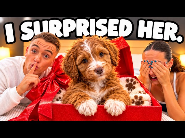 Surprising My Girlfriend With Her DREAM Puppy!!
