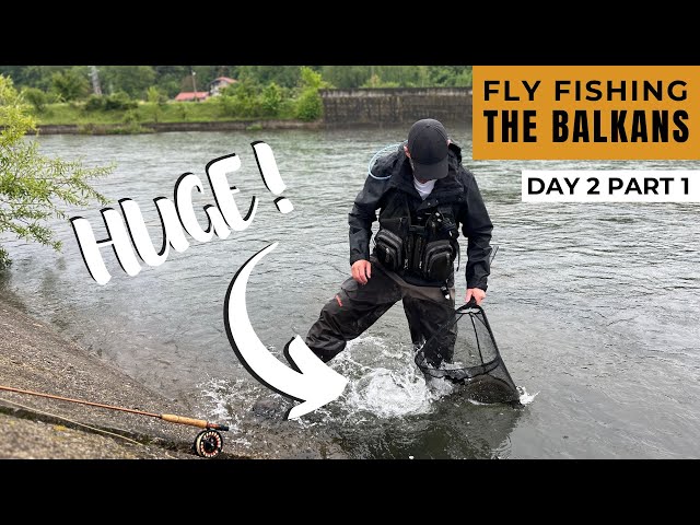 ANOTHER Crazy Day of Fly Fishing in The Balkans (BIG TROUT!)