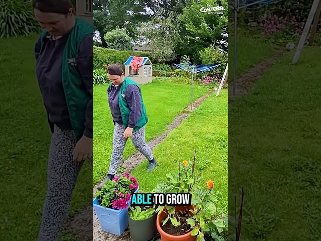 How to grow spinach in a sack: Part 1