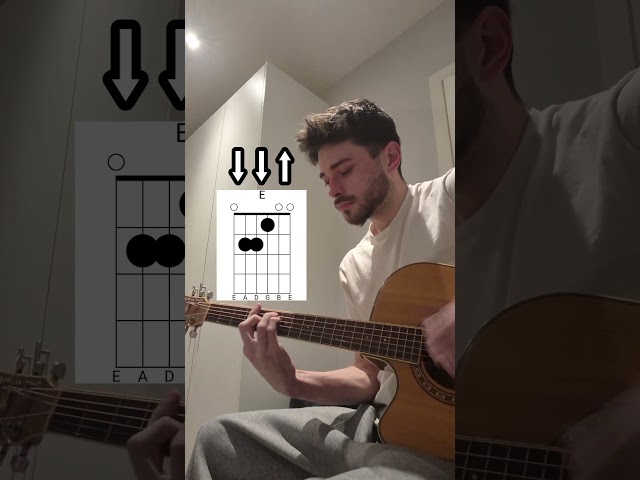 She's Electric Guitar Lesson #guitartutorial #lesson #guitar #acousticguitar #guitarchords