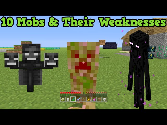 Minecraft - 10 Mobs & Their Weaknesses