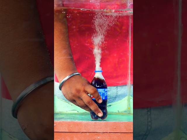 Density 💦 ঘনত্ব #youtubeshorts #science #diyexperimentsforkids