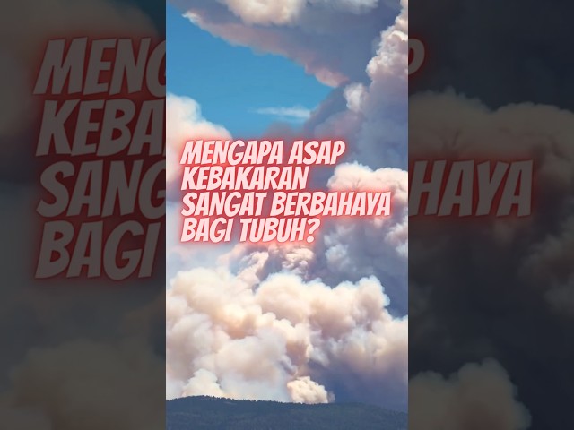 MENGAPA ASAP KEBAKARAN BERBAHAYA BAGI TUBUH ?
