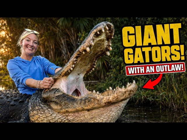 Catching GIANT GATORS With The Biggest Youtube OUTLAW Of All Time!