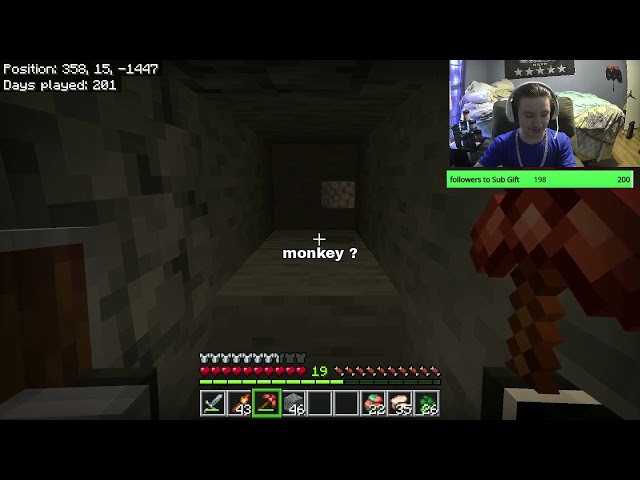monkey ?